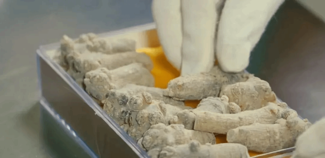 AG一飞冲天300倍游戏(中国游)·官方网站