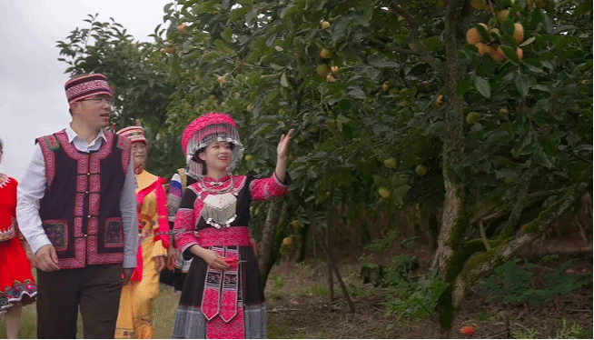 AG一飞冲天300倍游戏(中国游)·官方网站