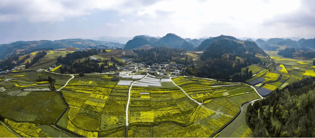 AG一飞冲天300倍游戏(中国游)·官方网站