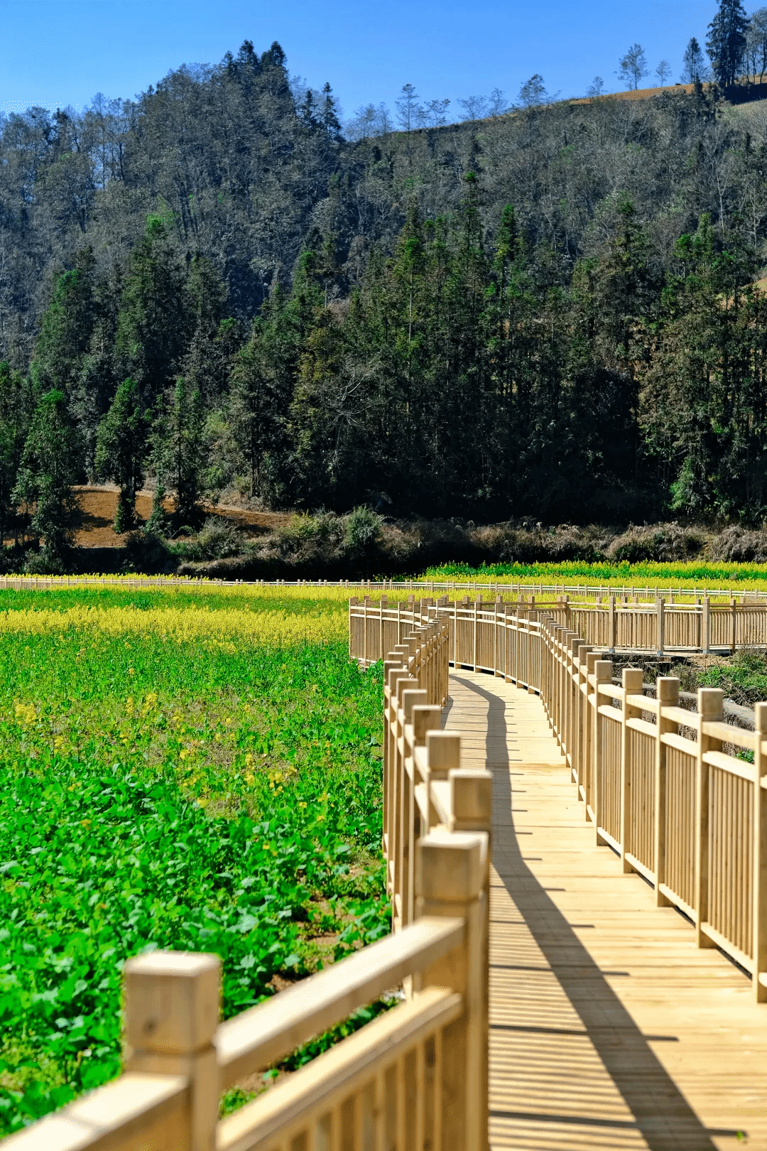 AG一飞冲天300倍游戏(中国游)·官方网站