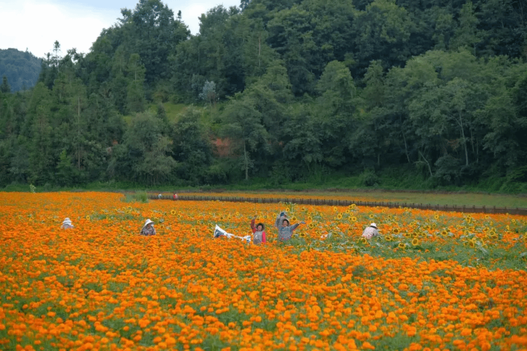 AG一飞冲天300倍游戏(中国游)·官方网站