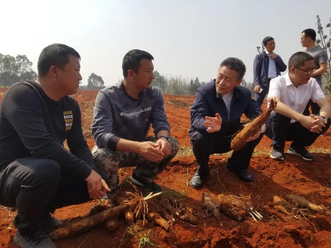 AG一飞冲天300倍游戏(中国游)·官方网站