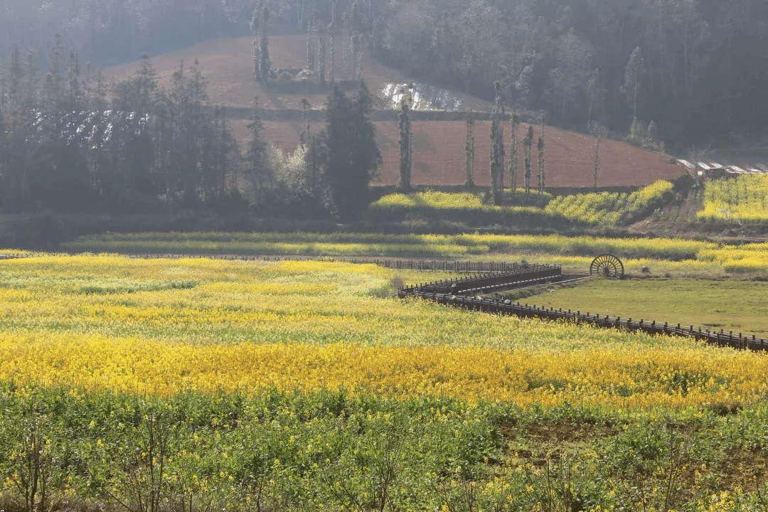 AG一飞冲天300倍游戏(中国游)·官方网站